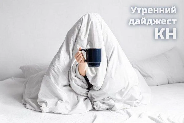 События, факты, мнения: миллионная взятка, семейная рысь, новая угроза на улицах и рост цен на услуг