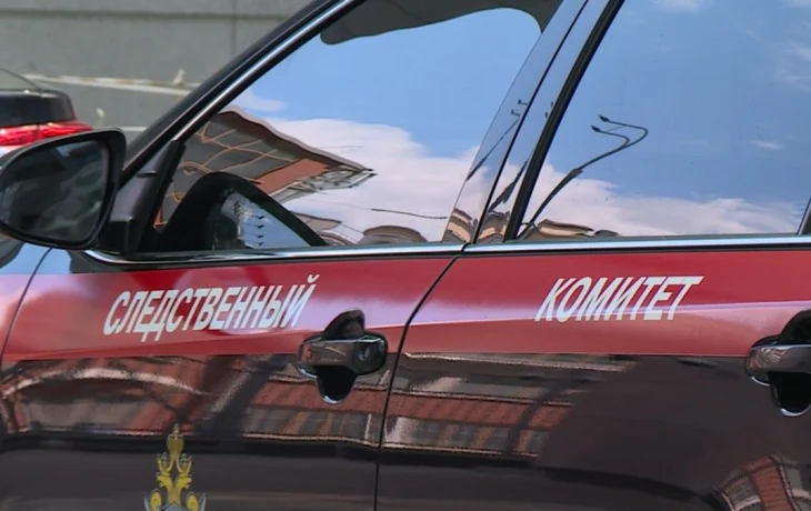 Калужские полицейские задержали мошенников, обманувших компании на 6,5 млн рублей