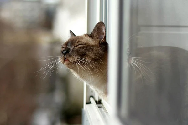 С тех пор, как появились прогнозы погоды, с ней стало твориться что-то непонятное&hellip; Представляем прог