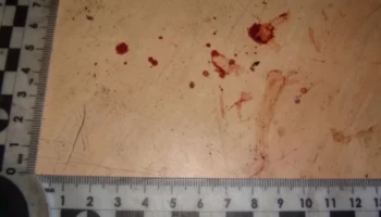 Калужская полиция задержала убийц, скинувших труп в колодец в Барятино