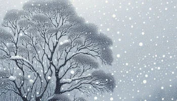 На выходных Калугу продолжит засыпать снегом