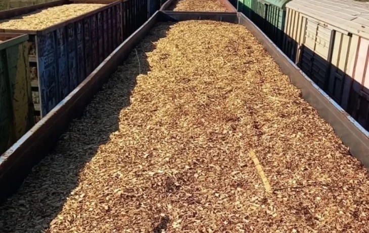 В Калужскую область ввезли более 196 тысяч кубометров щепы и лесоматериалов В Калужскую область ввезли более 196 тысяч кубометров щепы и лесоматериалов