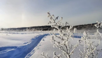Остановка &laquo;Литвиновское кладбище&raquo; заблокирована фурами в Калуге