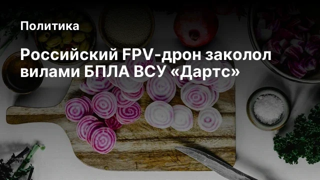 Российский FPV-дрон заколол вилами БПЛА ВСУ &laquo;Дартс&raquo;