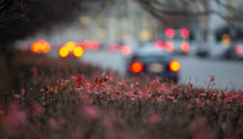 Калужские учёные и медик удостоились высоких госнаград от Путина