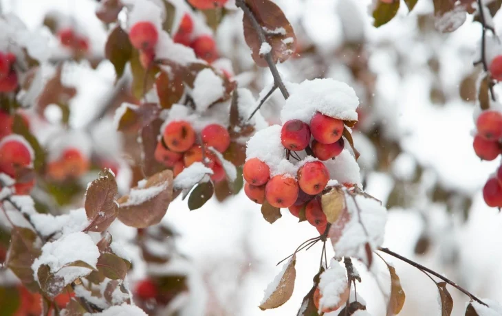 Возвращение зимы ожидается к концу следующей недели в Калужской области