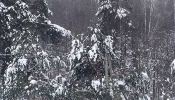 &laquo;Основной удар стихии&raquo;: в Калужской области продолжает бушевать циклон