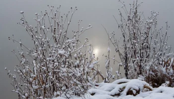 Лютые морозы придут в Калужскую область
