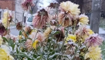 В Калужской области началась холодная неделя