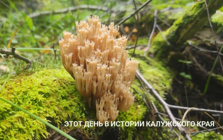 К Артамонову пришел волосатый парень в рваных джинсах: этот день в истории Калужской области