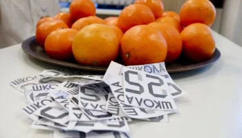 В одной из калужских школ пятерки меняют на мандарины