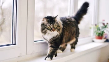 Последнее слово в прогнозе всегда остается за погодой. Представляем прогноз на 24 декабря в Калуге