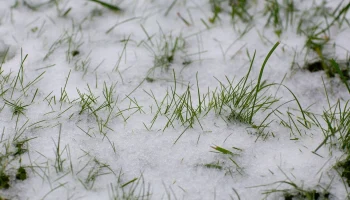 В Калужской области потеплеет в ближайшие дни