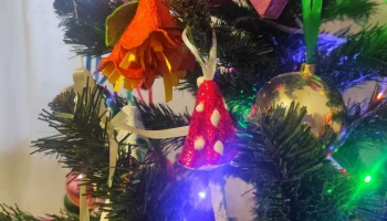 Калужские чиновники отметят Новый год традиционно