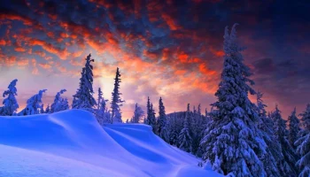 Не стоит упускать возможность насладиться хорошей погодой. Представляем прогноз на 28 декабря в Калу