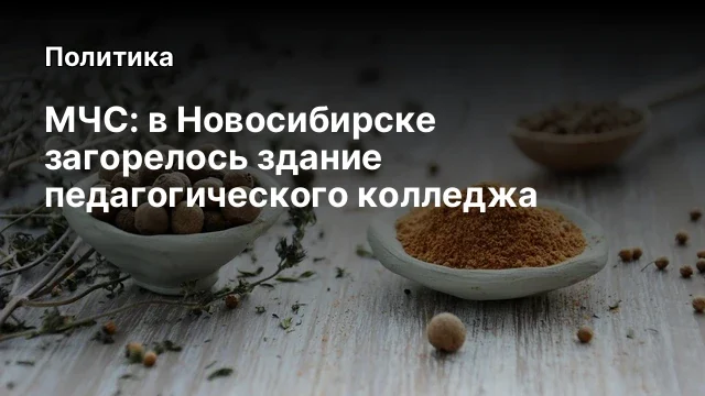 МЧС: в Новосибирске загорелось здание педагогического колледжа