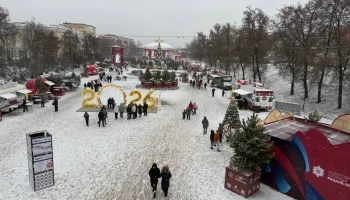 Гирлянды, шарики и мишура: как украсили ёлки в регионах ЦФО