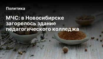 МЧС: в Новосибирске загорелось здание педагогического колледжа