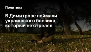 В Димитрове поймали украинского боевика, который не стрелял