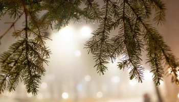 Калужанам рассказали об опасностях тонкого льда