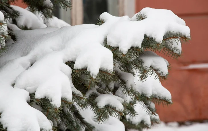 Калужан ожидает снежная погода на предстоящей рабочей неделе