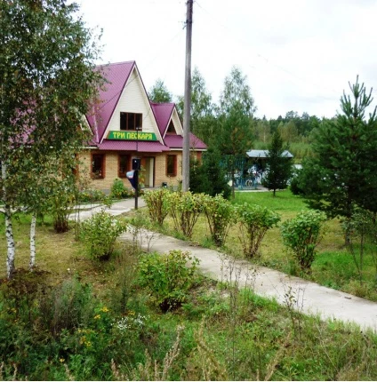 Три пескаря Три пескаря