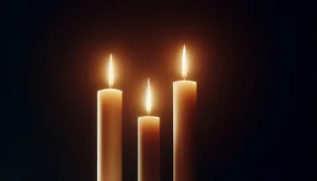 Брянск простился с семьей, погибшей в ДТП на Калужской трассе