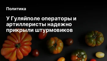 У Гуляйполе операторы и артиллеристы надежно прикрыли штурмовиков