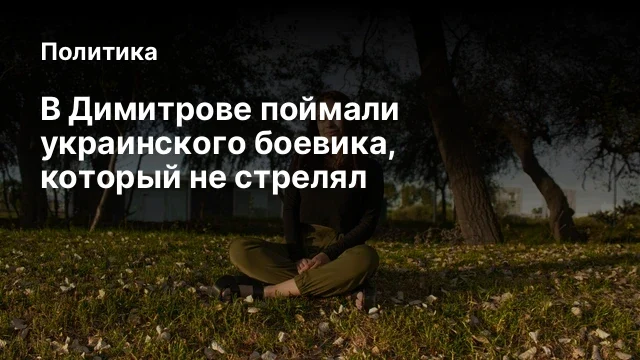 В Димитрове поймали украинского боевика, который не стрелял