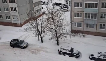Калужские смельчаки бросили вызов снежному апокалипсису