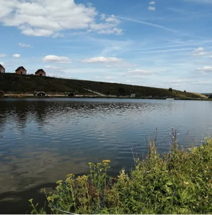Рыбное хозяйство «Калужская форель» Рыбное хозяйство «Калужская форель»