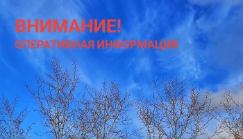 Три украинских беспилотника сбиты силами ПВО над Калужской областью