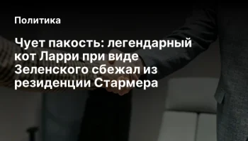 Чует пакость: легендарный кот Ларри при виде Зеленского сбежал из резиденции Стармера