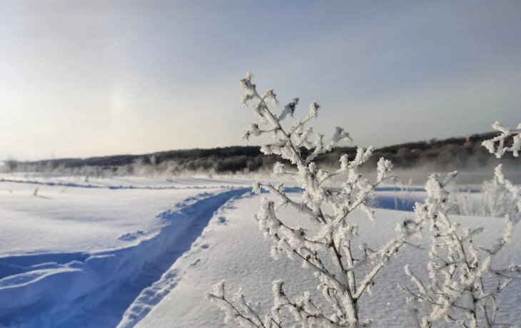 Остановка &laquo;Литвиновское кладбище&raquo; заблокирована фурами в Калуге