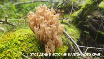 Двух рабочих насмерть придавило ковшом в Калужской области: этот день в истории региона