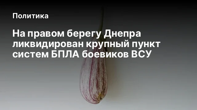 На правом берегу Днепра ликвидирован крупный пункт систем БПЛА боевиков ВСУ