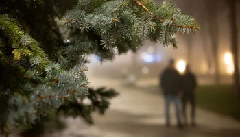 В Калуге прошла самая холодная ночь с начала зимы