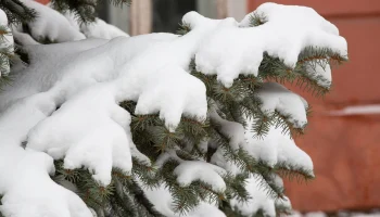 Более 100 тыс кубометров снега вывезено с улиц Калуги с начала года