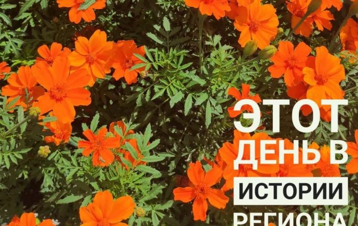 Маленькая школьница чуть не спрыгнула со второго этажа: как в калужской школе разбираются с травлей.