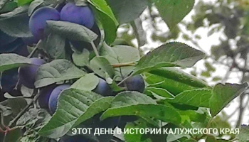 В Калужской области судят священника, защищавшегося от хулигана, который вламывался в его дом: этот 