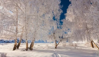 Когда погода позволяет, тогда в окно любуюсь робко на неё Представляем прогноз на 29 декабря в Калуг