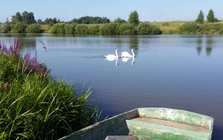 Алешкины пруды