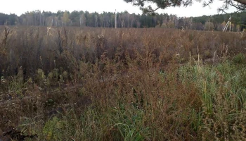 Калужское предприятие оштрафовано за заброшенные земли