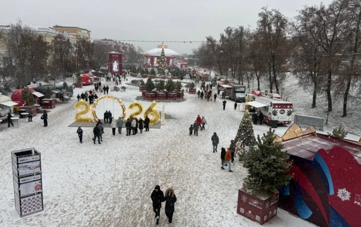 Гирлянды, шарики и мишура: как украсили ёлки в регионах ЦФО