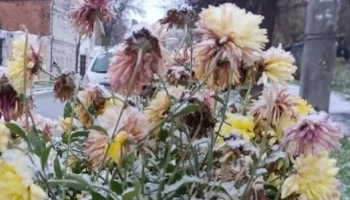 Калужан призывают готовиться к снежным выходным