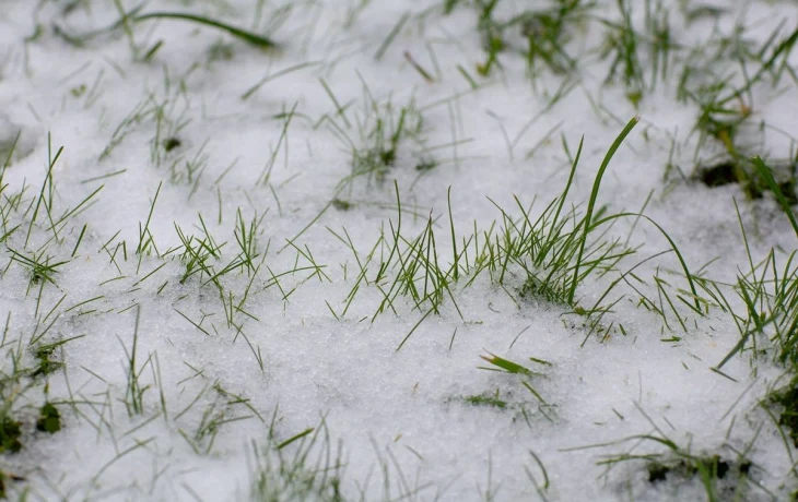 В Калужской области потеплеет в ближайшие дни