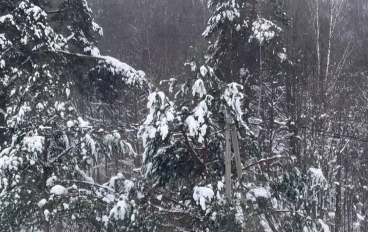 &laquo;Основной удар стихии&raquo;: в Калужской области продолжает бушевать циклон