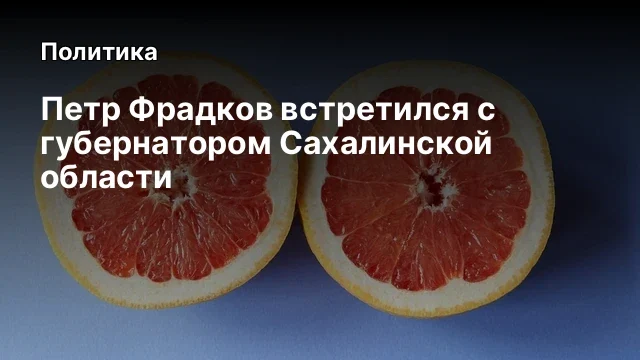 Петр Фрадков встретился с губернатором Сахалинской области