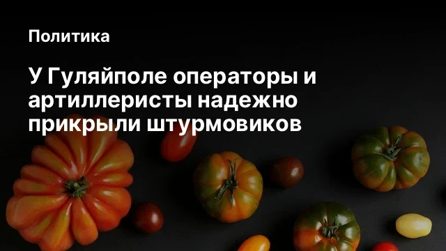 У Гуляйполе операторы и артиллеристы надежно прикрыли штурмовиков