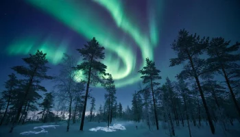 Северное сияние в средних широтах: Калужские ученые объяснили, почему так произошло и что ждать даль